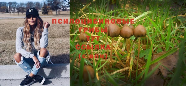 марки nbome Бородино