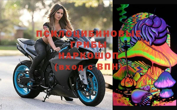 мяу мяу мука Навашино