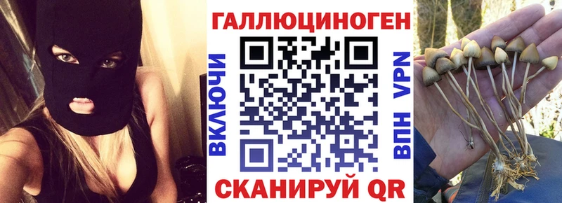 Галлюциногенные грибы мухоморы  Дрезна 